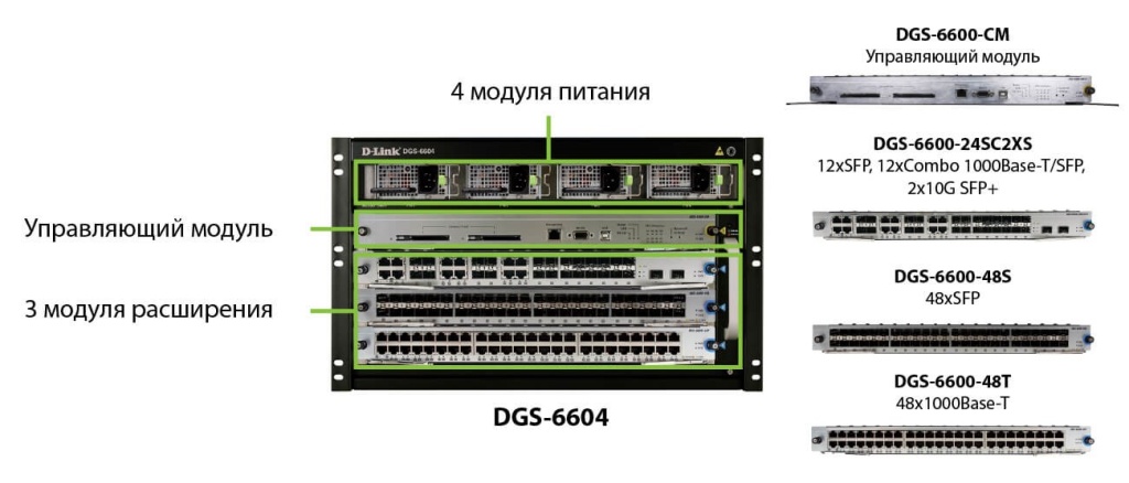 346.jpg